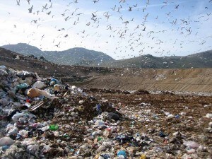 Discarica rifiuti