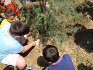Un momento della posa degli alberi in ricordo di Fortuna e Antonio, entrambi uccisi al Parco Verde di Caivano (Napoli)