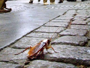 immagine di repertorio