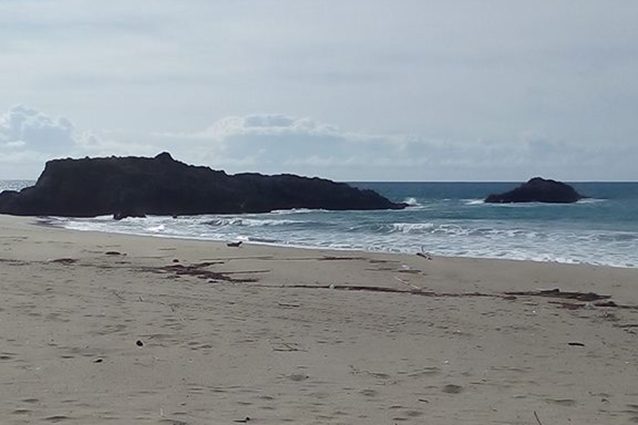 Spiaggia e scogliera di Marina di Ascea (Facebook).