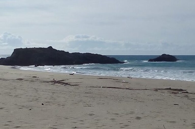Spiaggia e scogliera di Marina di Ascea (Facebook). 