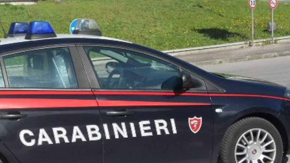 Immagine