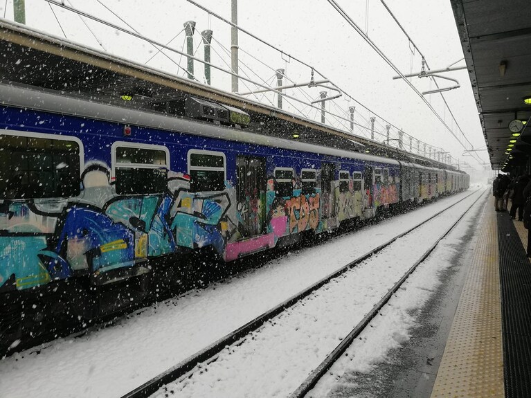 Immagine