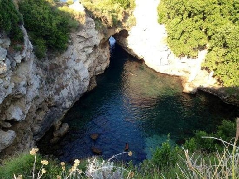 Immagine