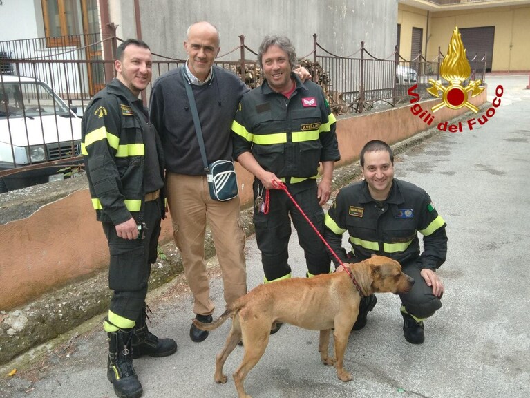Immagine