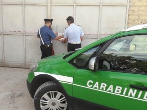 Immagine di repertorio.