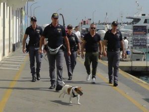 Pocho, il cane poliziotto della questura di Napoli