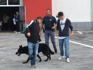 Immagine di repertorio
