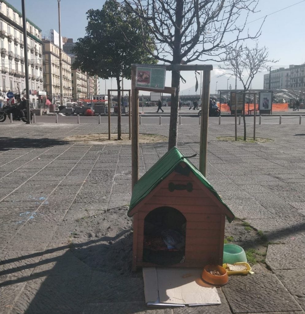 La cuccia del cagnolino Bella in piazza Garibaldi