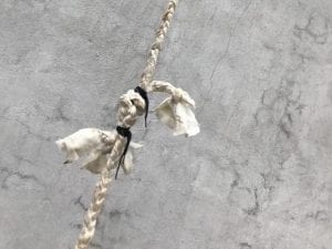 Immagine di repertorio