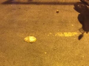 Lanciata urina agli ambulanti di Castellammare di Stabia