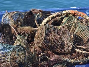 Reti, barze e perfino il cerchione di una bicicletta recuperati nel mare di Napoli, davanti ai Giardini del Molosiglio.