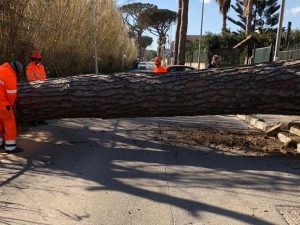 Immagine di repertorio