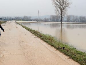 foto di repertorio