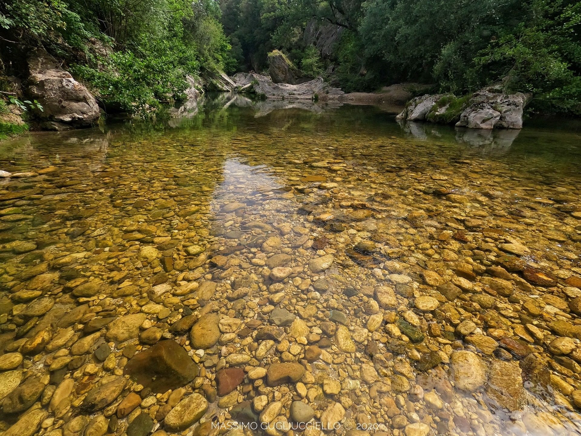 Il fiume Sele pulito e ricco di pesci (Foto: Massimo Gugliucciello)