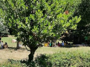 Parco Viviani. Immagine di repertorio