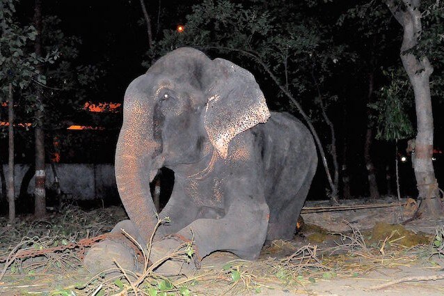 Il pianto di Raju durante le fasi della liberazione