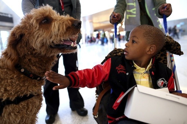Da sempre il cane è considerato il migliore amico dei bambini