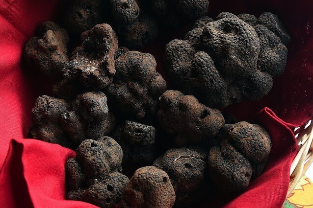 Il tartufo nero contiene la molecola del piacere