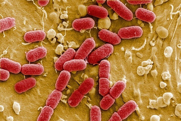 I gas intestinali possono rivelare la presenza di malattie