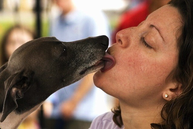 I cani come probiotici per gli esseri umani