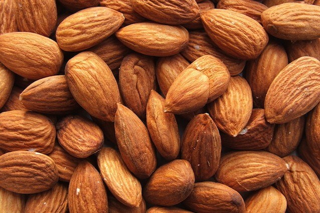 La vitamina E in aiuto del nostro sistema immunitario