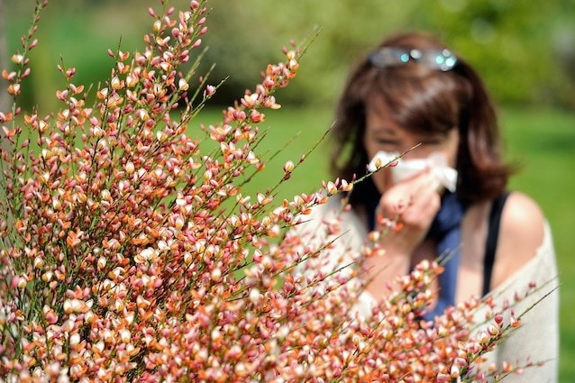 Allergie stagionali ai pollini curate con l’alimentazione