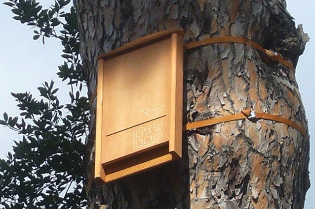 Un esempio di Bat Box