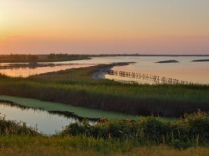 Il Delta del Po