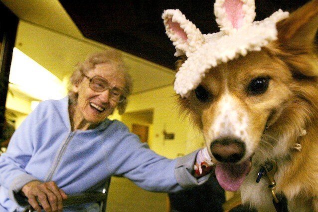 Cani e gatti fanno risparmiare sulla sanità