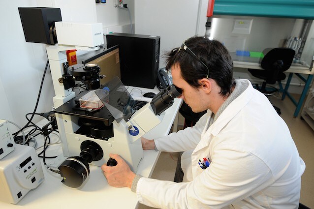 Riprogrammare le cellule del cancro