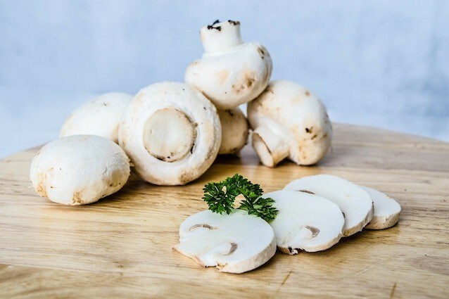 Batterie per i telefoni a base di funghi