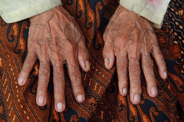 Le reti genetiche e l’invecchiamento