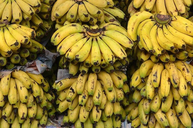Proteina della banana