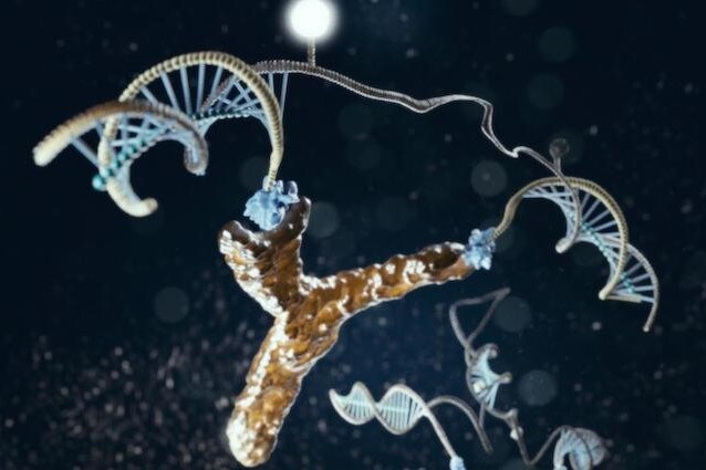 DNA e HIV