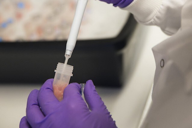 Farmaco contro il melanoma
