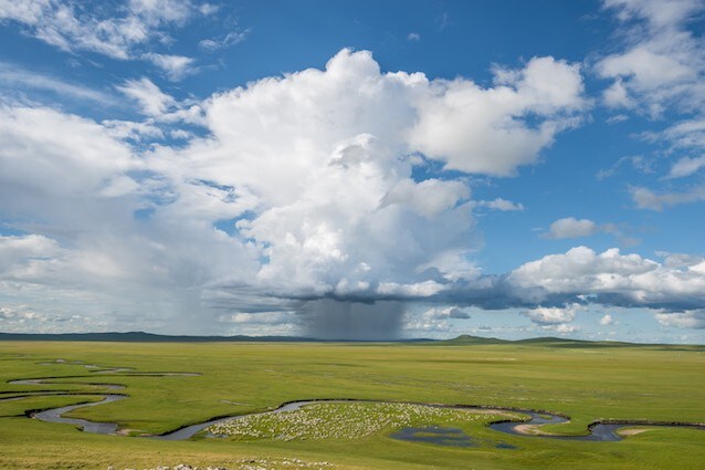 Stiamo distruggendo la biodiversità e ne pagheremo le conseguenze