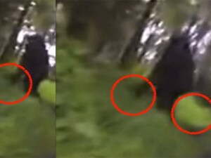 bigfoot-oregon