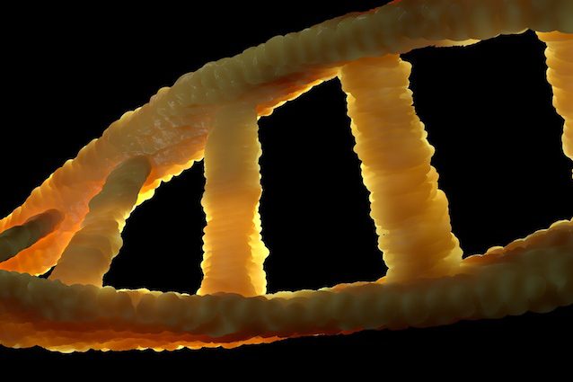 Leucemia Mieloide Acuta: un paziente su due ha DNA “alieno” responsabile della malattia