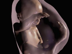 Immagine 3D di un feto alla 25esima settimana