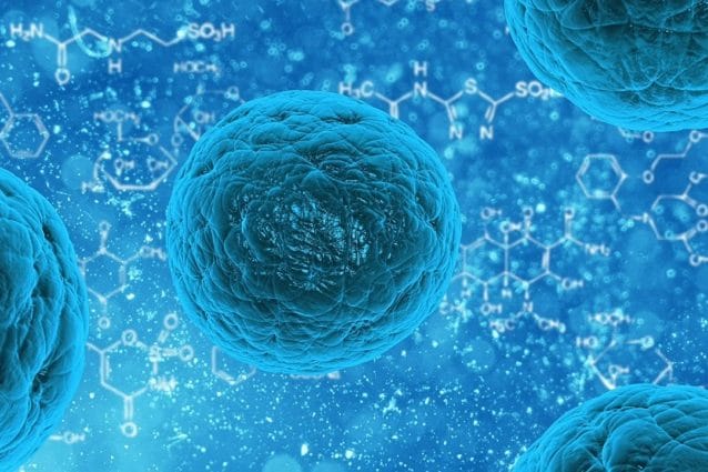 Create le cellule staminali sintetiche: come funzionano e perché sono migliori