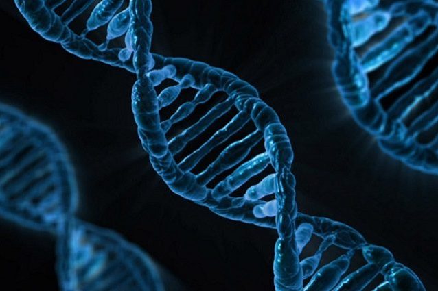 dna