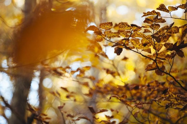autunno-caldo