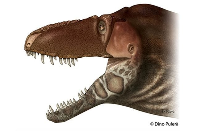 dino