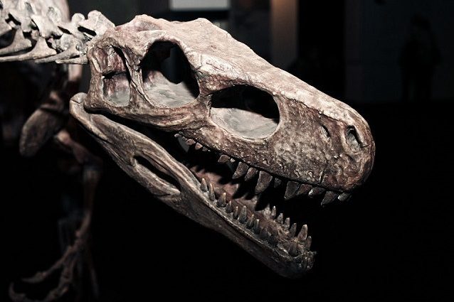 dinosauro