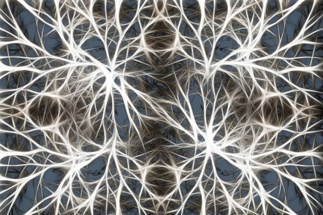 neuroni