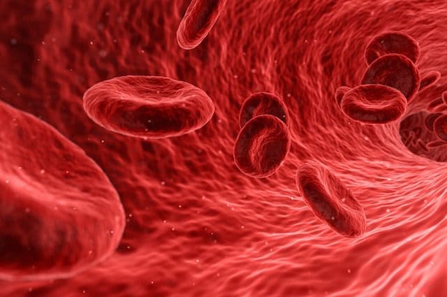 Nuovo test del sangue per la diagnosi del cancro: così dice dove si trova il tumore