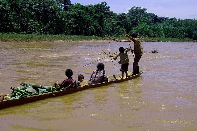 tsimane