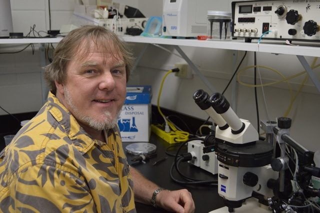 Il dottor Mark Martindale: credit University of Florida, Eric Rottinger, Whitney Lab Marine Bioscience
