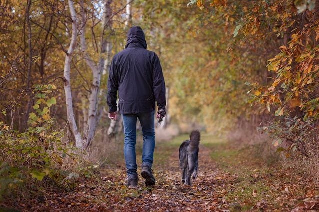 Vivere con un cane allunga la vita, soprattutto se si è da soli